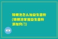 锦鲤池怎么加益生菌粉(锦鲤池掌握益生菌粉添加窍门)