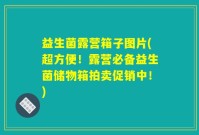 益生菌露营箱子图片(超方便！露营必备益生菌储物箱拍卖促销中！)