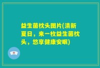 益生菌枕头图片(清新夏日，来一枚益生菌枕头，悠享健康安眠)
