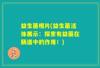 益生菌相片(益生菌活体展示：探索有益菌在肠道中的作用！)
