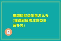 猫蹭屁屁益生菌怎么办(猫蹭屁屁需注意益生菌补充)