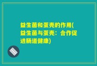 益生菌和蛋壳的作用(益生菌与蛋壳:合作促进肠道健康)