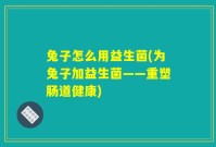 兔子怎么用益生菌(为兔子加益生菌——重塑肠道健康)