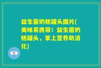 益生菌奶糕罐头图片(美味易携带！益生菌奶糕罐头，掌上营养助消化)