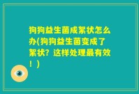 狗狗益生菌成絮状怎么办(狗狗益生菌变成了絮状?这样处理最有效!)