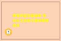 便宜的益生菌猫咪 性价比之选助力猫咪健康成长