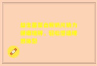 益生菌蛋白粉奶片助力健康增胖，轻松塑造理想体型