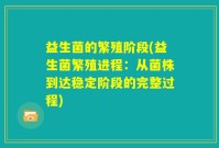 益生菌的繁殖阶段(益生菌繁殖进程：从菌株到达稳定阶段的完整过程)