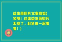 益生菌照片文案搞笑(笑喷！这张益生菌照片太搞了，赶紧来一起看看！)