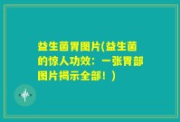 益生菌胃图片(益生菌的惊人功效：一张胃部图片揭示全部！)
