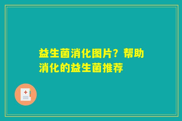 益生菌消化图片？帮助消化的益生菌推荐