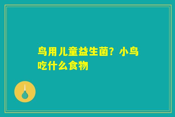 鸟用儿童益生菌?小鸟吃什么食物 鸟用儿童益生菌?小鸟吃什么食物