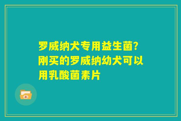 罗威纳犬专用益生菌?刚买的罗威纳幼犬可以用乳酸菌素片 罗威纳犬专用益生菌?刚买的罗威纳幼犬可以用乳酸菌素片
