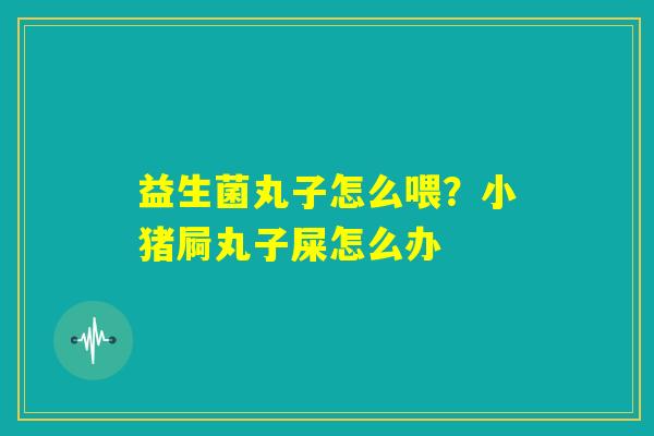 益生菌丸子怎么喂?小猪屙丸子屎怎么办 益生菌丸子怎么喂?小猪屙丸子屎怎么办