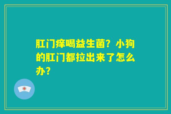 肛门痒喝益生菌?小狗的肛门都拉出来了怎么办? 肛门痒喝益生菌?小狗的肛门都拉出来了怎么办?