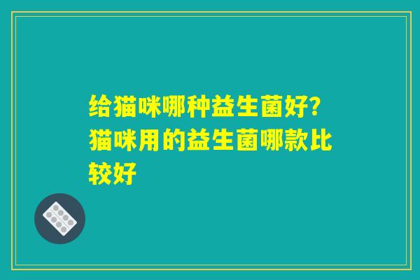 给猫咪哪种益生菌好?猫咪用的益生菌哪款比较好 给猫咪哪种益生菌好?猫咪用的益生菌哪款比较好