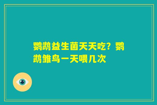鹦鹉益生菌天天吃？鹦鹉雏鸟一天喂几次