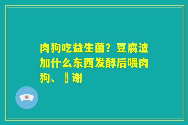 肉狗吃益生菌?豆腐渣加什么东西发酵后喂肉狗、謝谢 肉狗吃益生菌?豆腐渣加什么东西发酵后喂肉狗、謝谢