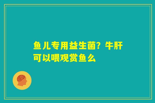 鱼儿专用益生菌?牛肝可以喂观赏鱼么 鱼儿专用益生菌?牛肝可以喂观赏鱼么