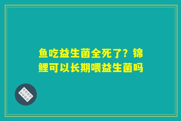 鱼吃益生菌全死了？锦鲤可以长期喂益生菌吗