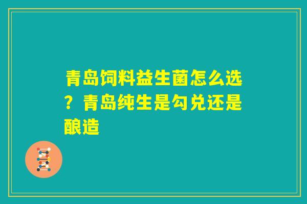 青岛饲料益生菌怎么选？青岛纯生是勾兑还是酿造