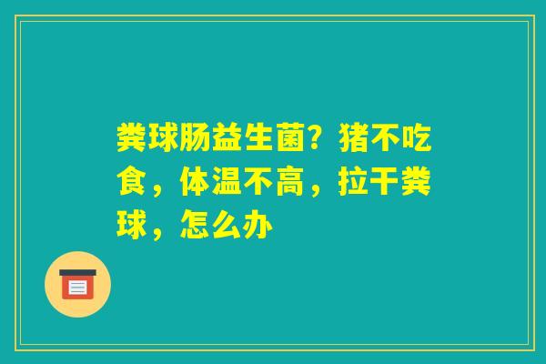 粪球肠益生菌？猪不吃食，体温不高，拉干粪球，怎么办