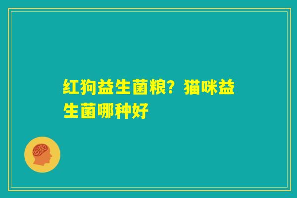 红狗益生菌粮?猫咪益生菌哪种好 红狗益生菌粮?猫咪益生菌哪种好