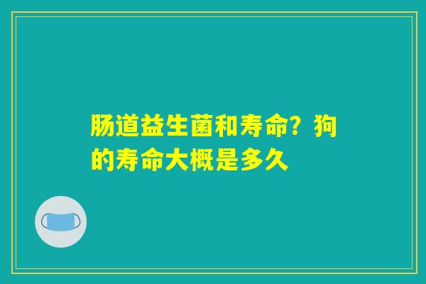肠道益生菌和寿命？狗的寿命大概是多久