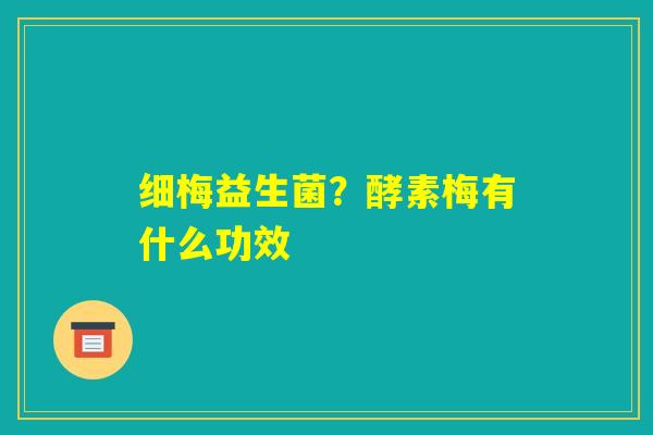 细梅益生菌?酵素梅有什么功效 细梅益生菌?酵素梅有什么功效