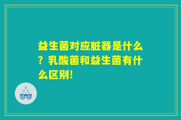 益生菌对应脏器是什么?乳酸菌和益生菌有什么区别! 益生菌对应脏器是什么?乳酸菌和益生菌有什么区别!