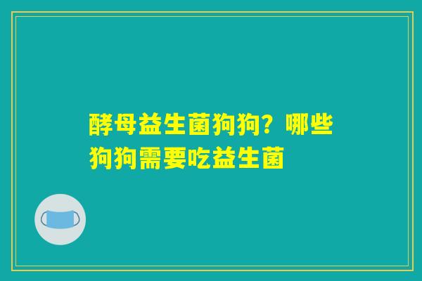 酵母益生菌狗狗？哪些狗狗需要吃益生菌