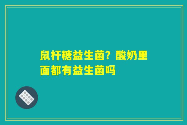 鼠杆糖益生菌？酸奶里面都有益生菌吗