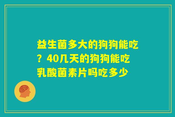 益生菌多大的狗狗能吃？40几天的狗狗能吃乳酸菌素片吗吃多少