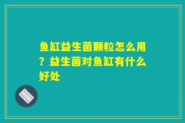 鱼缸益生菌颗粒怎么用?益生菌对鱼缸有什么好处 鱼缸益生菌颗粒怎么用?益生菌对鱼缸有什么好处
