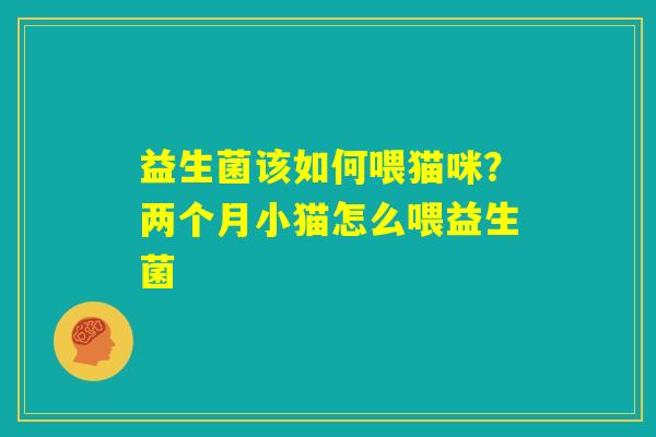 益生菌该如何喂猫咪?两个月小猫怎么喂益生菌 益生菌该如何喂猫咪?两个月小猫怎么喂益生菌