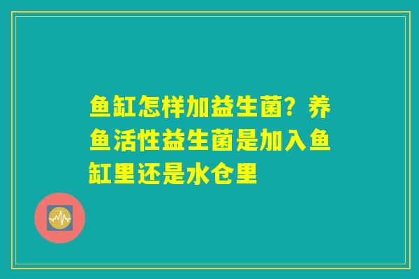 鱼缸怎样加益生菌？养鱼活性益生菌是加入鱼缸里还是水仓里