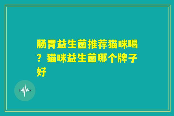 肠胃益生菌推荐猫咪喝？猫咪益生菌哪个牌子好