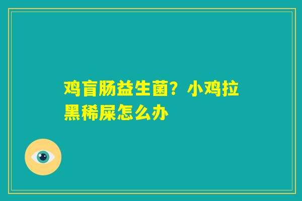 鸡盲肠益生菌?小鸡拉黑稀屎怎么办 鸡盲肠益生菌?小鸡拉黑稀屎怎么办