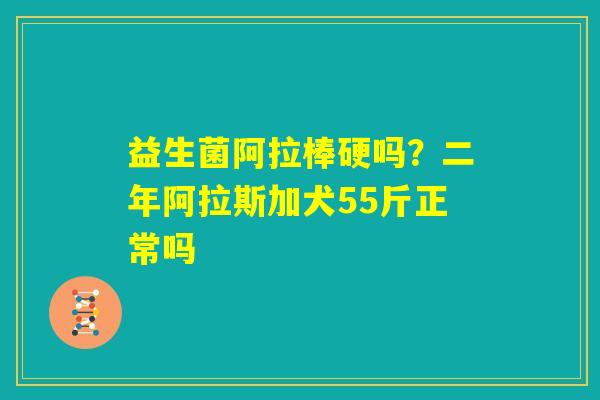 益生菌阿拉棒硬吗？二年阿拉斯加犬55斤正常吗