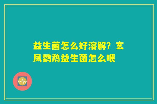 益生菌怎么好溶解？玄凤鹦鹉益生菌怎么喂