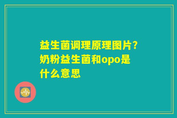 益生菌调理原理图片？奶粉益生菌和opo是什么意思