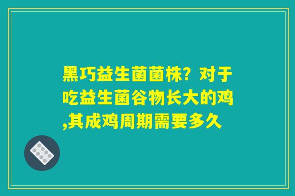 黑巧益生菌菌株？对于吃益生菌谷物长大的鸡,其成鸡周期需要多久