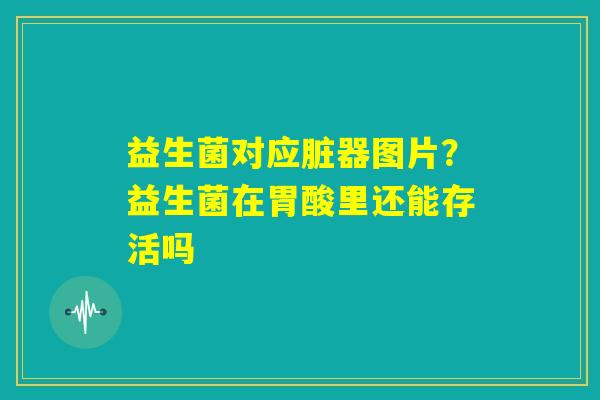 益生菌对应脏器图片？益生菌在胃酸里还能存活吗