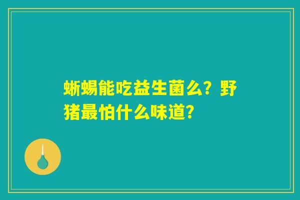 蜥蜴能吃益生菌么？野猪最怕什么味道？