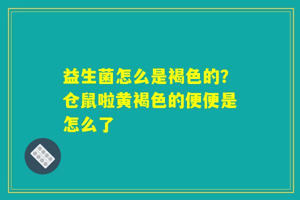 益生菌怎么是褐色的？仓鼠啦黄褐色的便便是怎么了