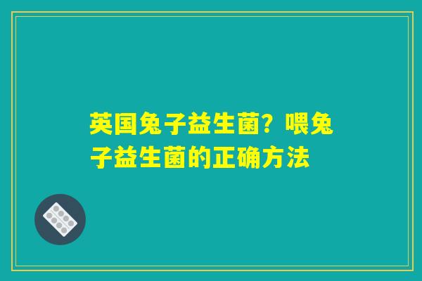 英国兔子益生菌？喂兔子益生菌的正确方法