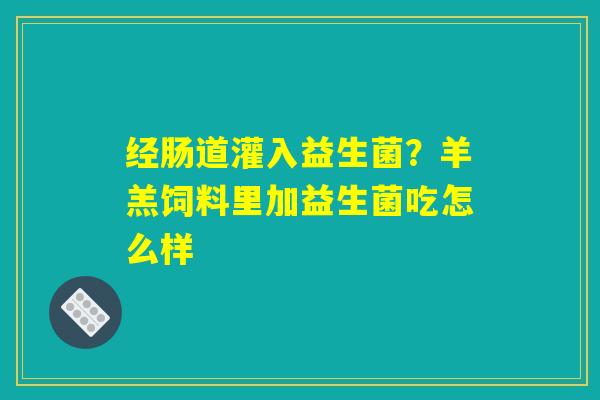 经肠道灌入益生菌？羊羔饲料里加益生菌吃怎么样