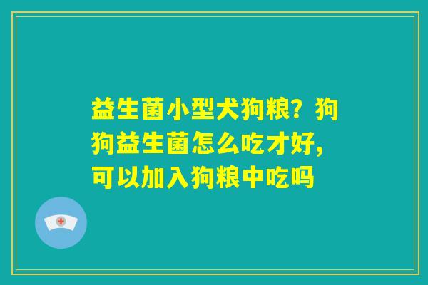 益生菌小型犬狗粮？狗狗益生菌怎么吃才好,可以加入狗粮中吃吗