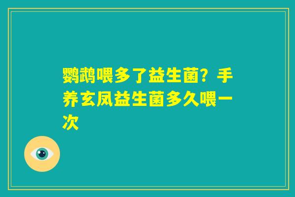 鹦鹉喂多了益生菌?手养玄凤益生菌多久喂一次 鹦鹉喂多了益生菌?手养玄凤益生菌多久喂一次