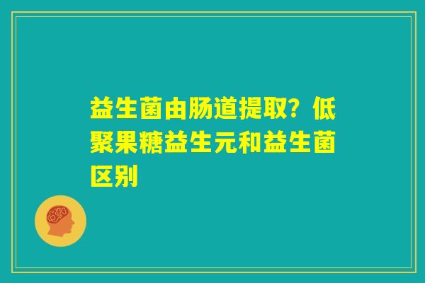益生菌由肠道提取?低聚果糖益生元和益生菌区别 益生菌由肠道提取?低聚果糖益生元和益生菌区别